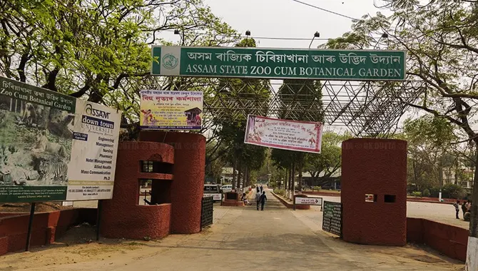 Assam State Zoo and Botanical Garden 1