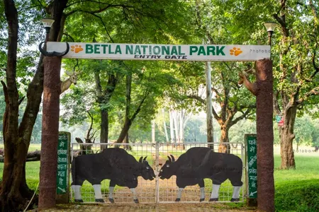 Belta National park