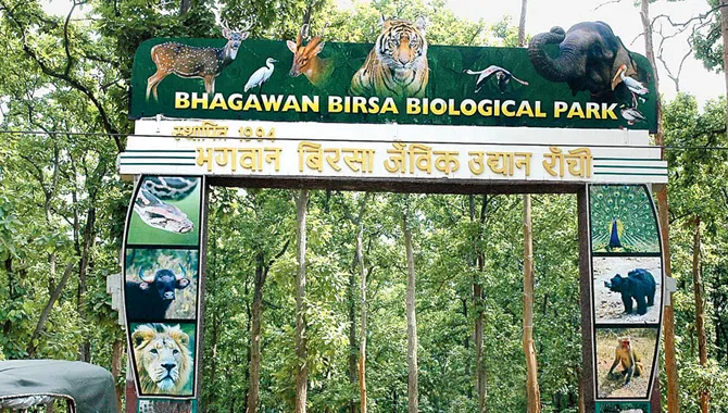 Birsa Zoological 1