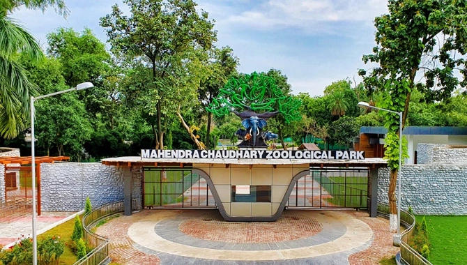 Chhatbir Zoo chandigarh