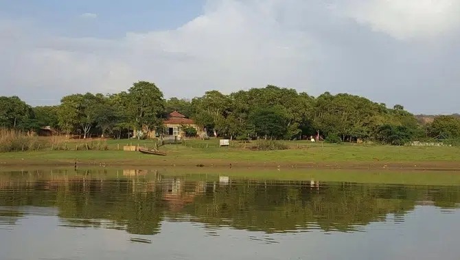 Damdama Lake