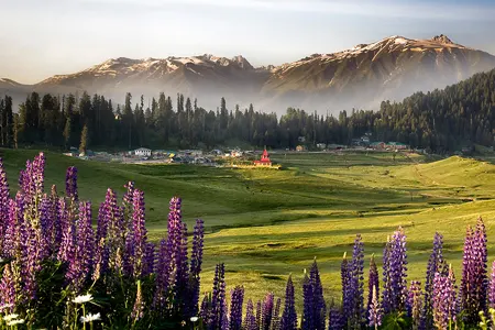Gulmarg