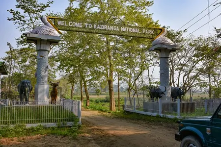 Kaziranga National Park
