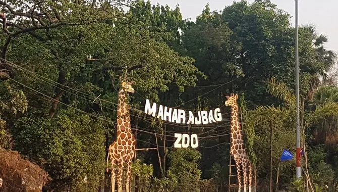 Maharaj Bagh Zoo