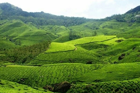 Munnar