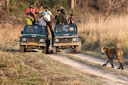 Ranthambore National Park 1