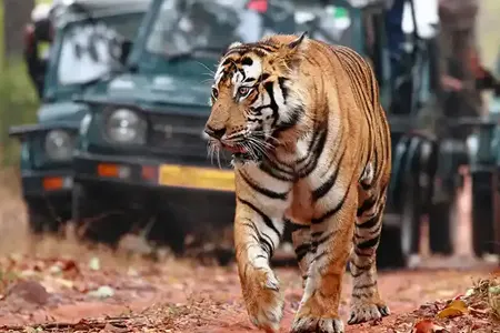 Sariska National Park