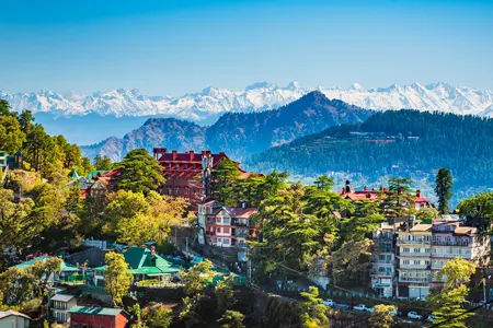Shimla