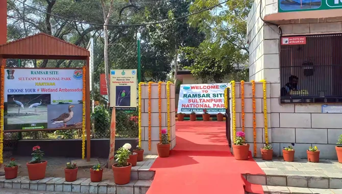 Sultanpur Bird Sanctuary