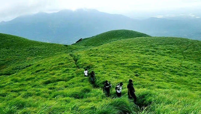 Wayanad
