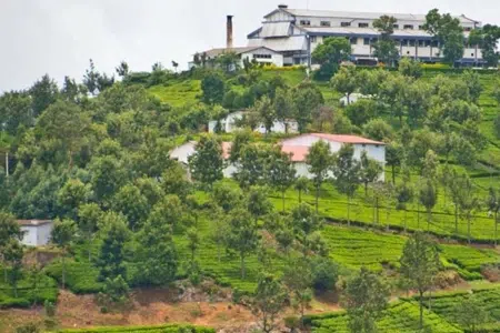 Coonoor