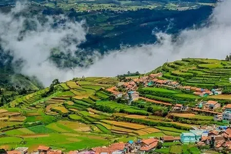 Ooty