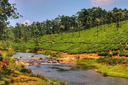 Valparai