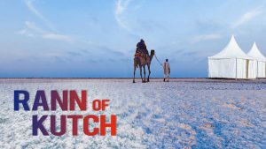 Rann-of-Kuch-tour
