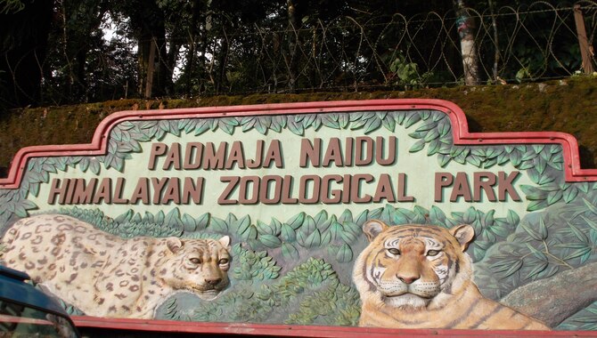 Padmaja Naidu Himalayan Zoological Park
