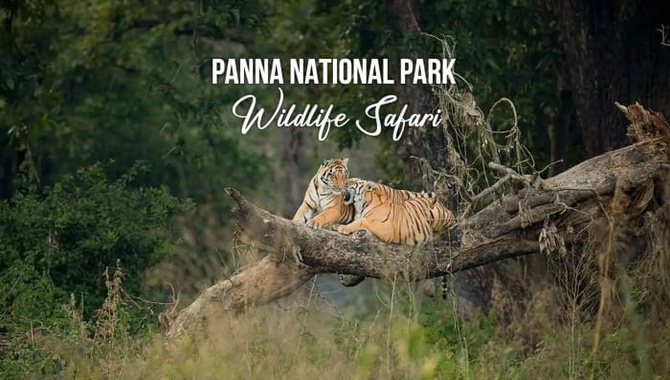 Panna National Park