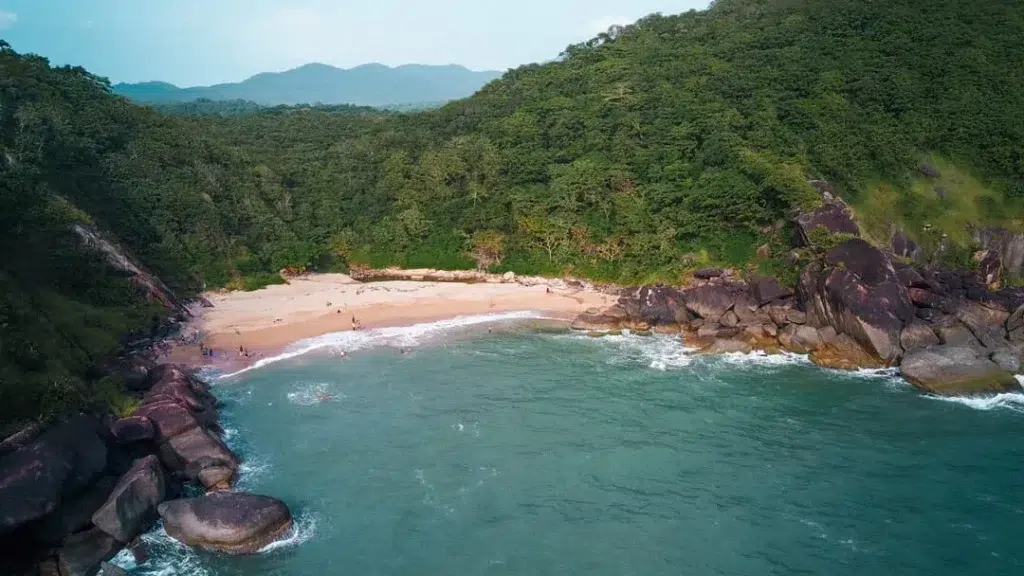 Butterfly Beach Goa 2