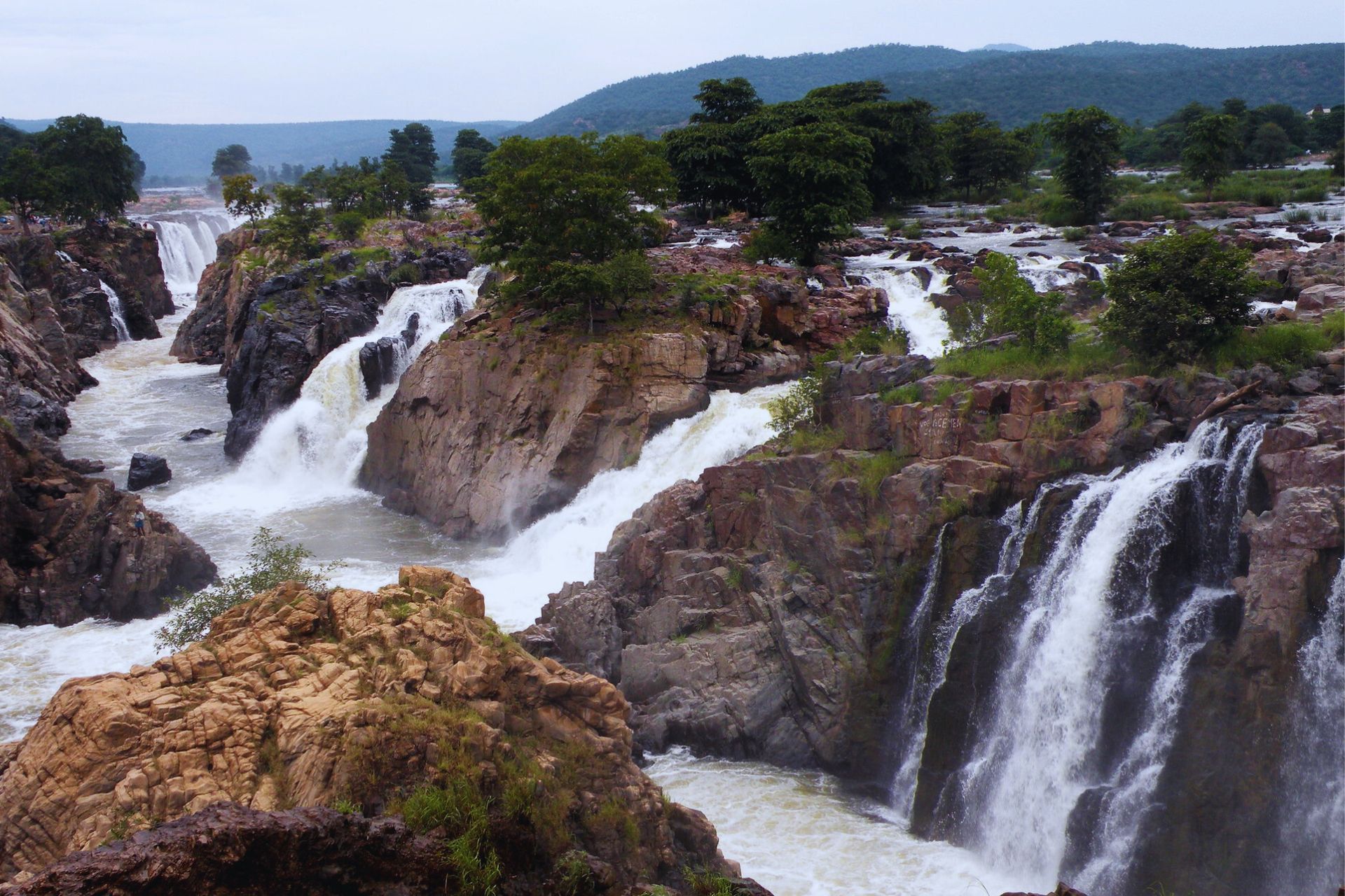 Bangalore to Hogenakkal Falls